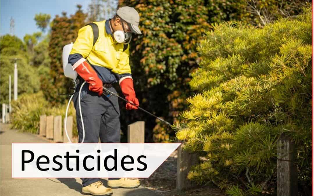 Common pesticides and treatment guide