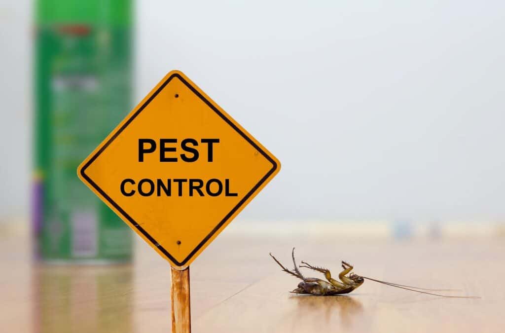 Pest Control: Worth it or Not!