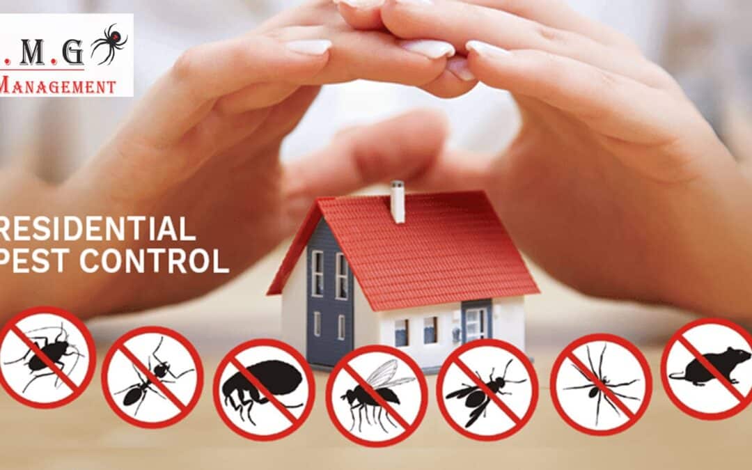 Does Pest Control Actually Work