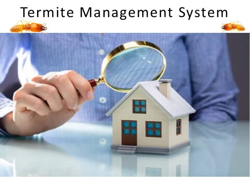 Termite Management Systems