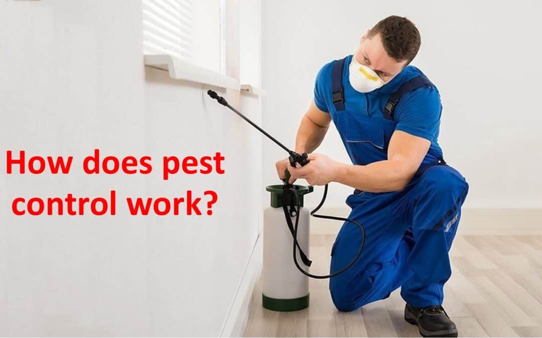 How Does Pest Control Work?